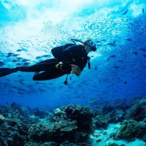 introductory dive (1 dive) + unlimited snorkeling pulau payar marine park