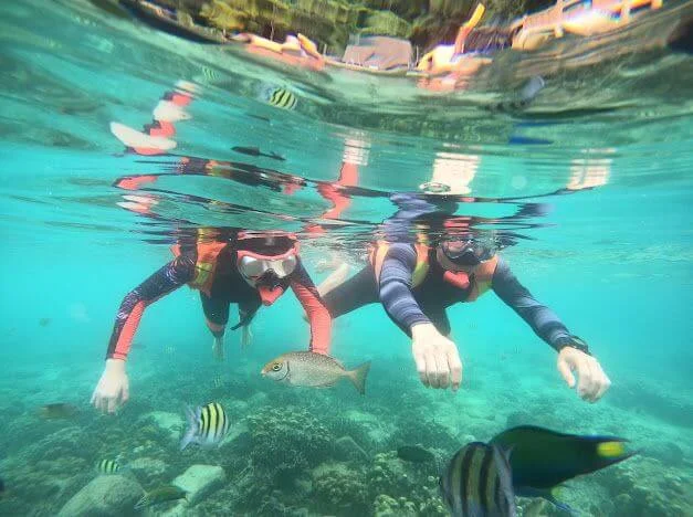 unlimited snorkeling pulau payar marine park unlimited snorkeling pulau payar marine park